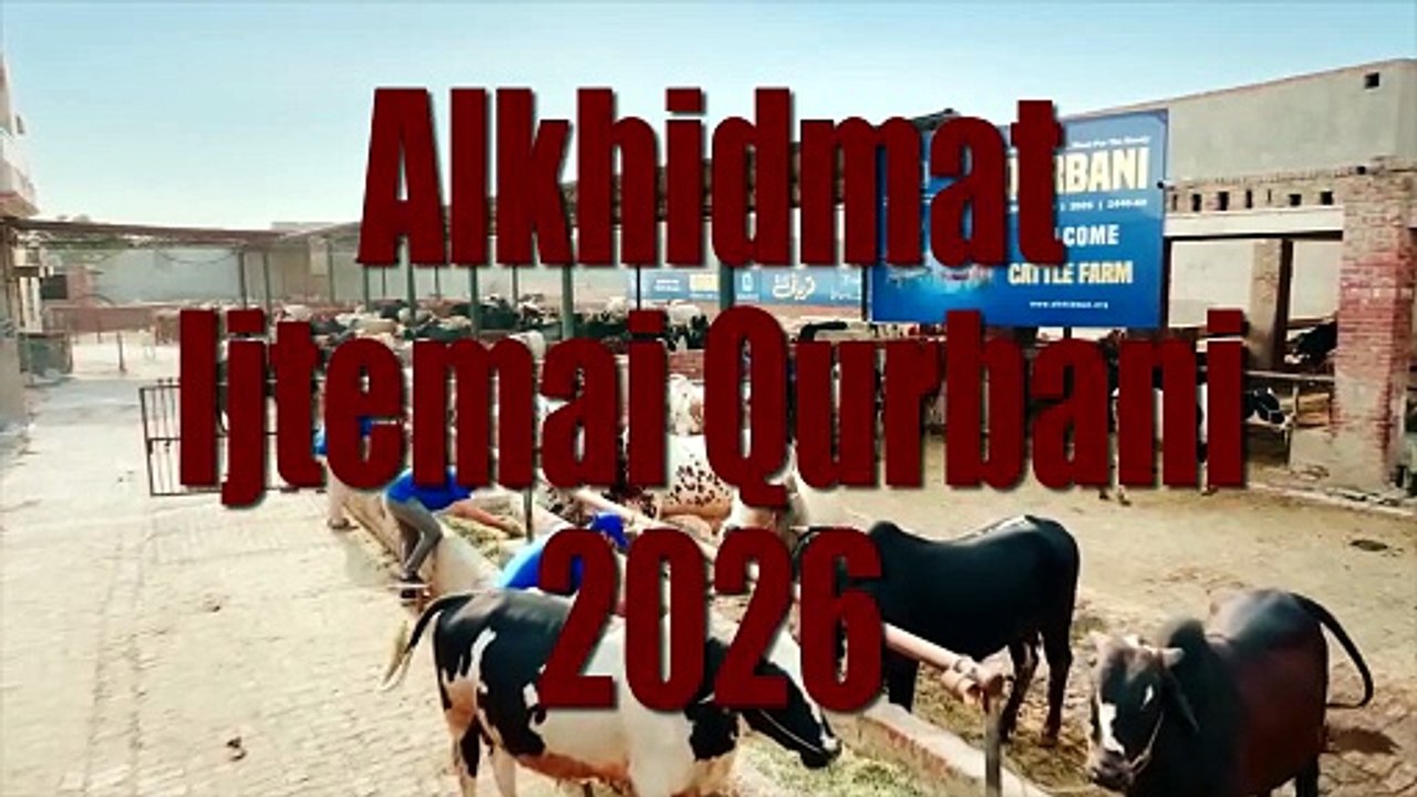 Alkhidmat Qurbani 2026 - Shadman Town