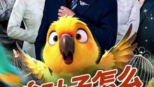 抖音新剧上线#我孙子怎么成鹦鹉了 (上)