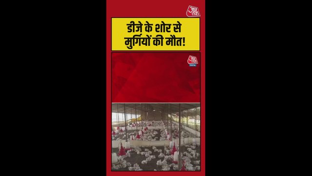डीजे ने ले ली 140 मुर्गियों की जान, मामला कर देगा हैरान