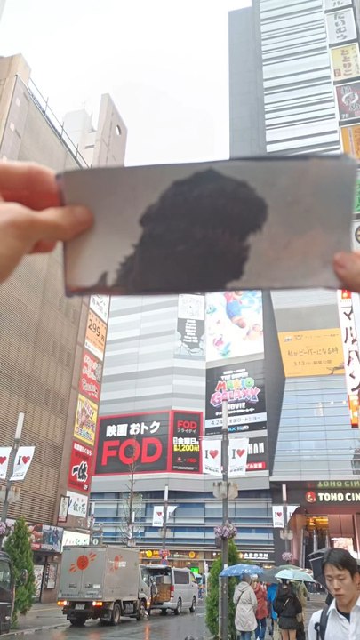 Find Godzilla 📍🧌