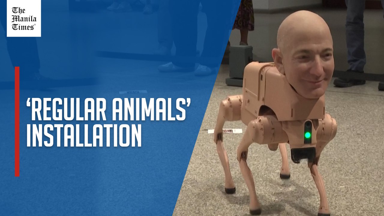 Robot dogs with tech boss faces enthrall Berlin gallery audience
