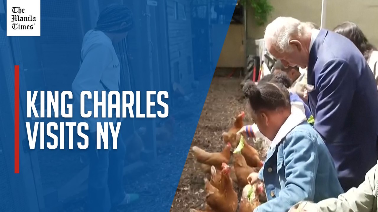 King Charles feeds chickens during visit to community garden in New York