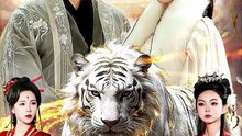 玄幻：开局被迫下嫁圣女
