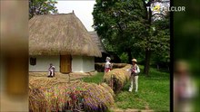 Vedete si vedeti cu Gheorghe Rosoga - TVR - 2004