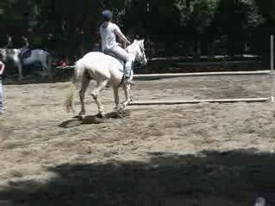 Saut sans étriers avec Fanny