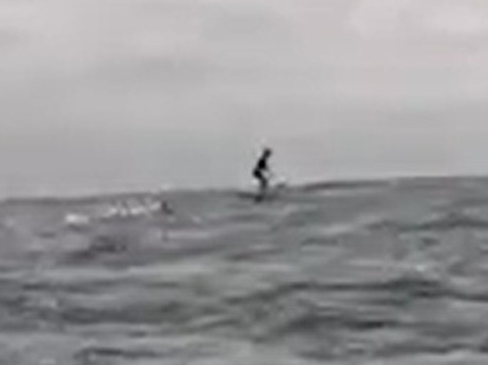 Drei-Meter-Hai verfolgt Surfer