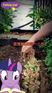 Fruit Peels to Natural Fertiliser | Easy Organic Plant Food Idea #NaturalFertiliser #OrganicGardening #FruitPeels #CompostDIY #GardenHacks #PlantCare #EcoFriendly #WasteToWealth #HomeGarden #SustainableLiving #CraftlyIdeas