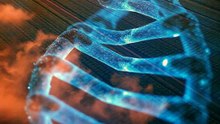 Pesticides Are Rewriting Your DNA Right Now