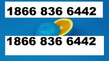 [HashTaG]™ {{Contact©}} of 『AOL GOLD Toll®』 Free© NUMBERS℗ TOLL FREE NUMBER: Easy Step by Step Guide¶【USA】¶