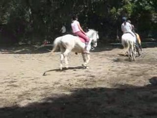 Galop sans étriers