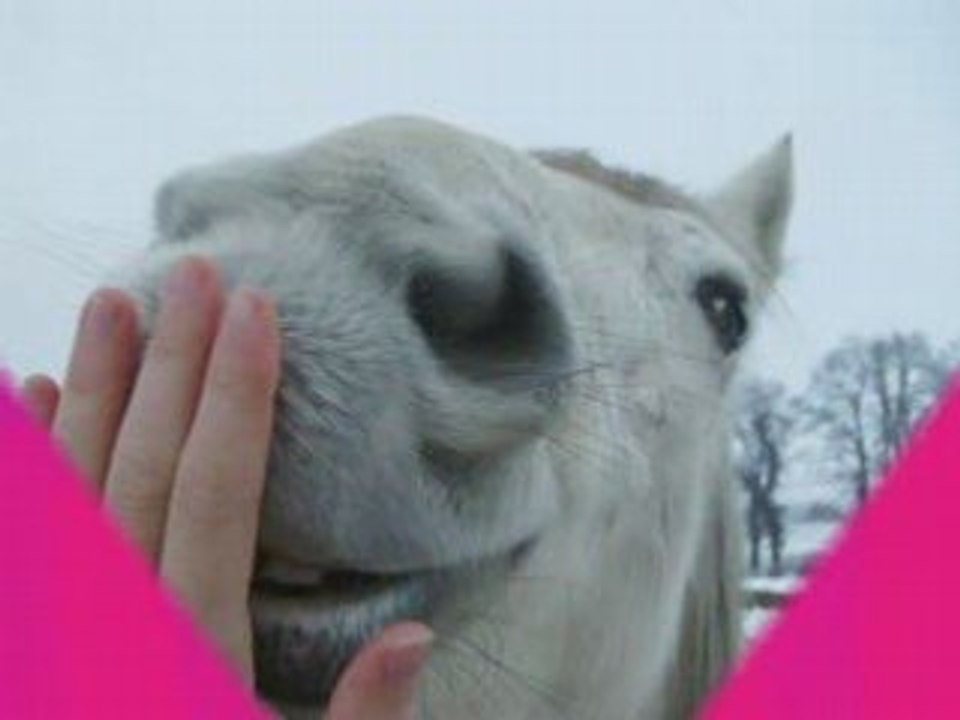 SiskO tro belle video