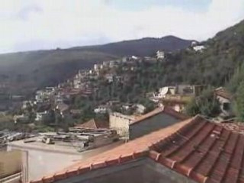 Le bled