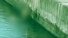 🌊😱 Un niño de 7 años cayó accid3ntalmente a un río, pero un vendedor ambulante que presenció el hecho logró rescatarlo a tiempo, evitando una trag3dia.