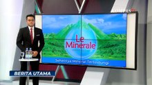 Geger! Beruang Masuk Kebun Milik Warga di Jambi | BERITA UTAMA