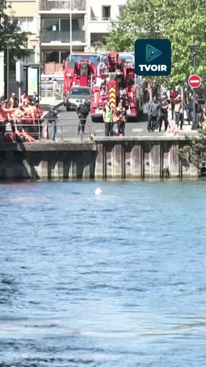 Un bus en formation plonge dans la Seine 🚌