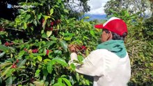 Sin extranjeros no hay cosecha: uno de cada tres jornaleros es inmigrante
