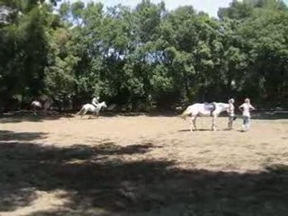 Saut 1m