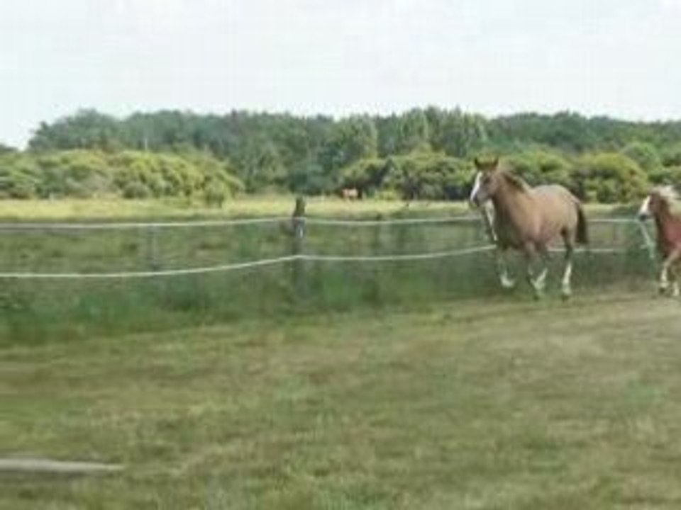 Kiki & May en liberté
