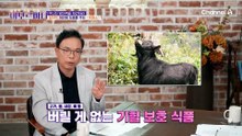 췌장이 작아 당뇨병에 취약한 동양인! 명품 성우가 당뇨병을 관리하는 방법은?