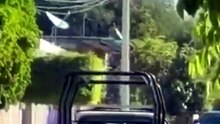 Captan a patrulla arrastrando a perro en Xochiltepec, abren investigación por crueldad animal