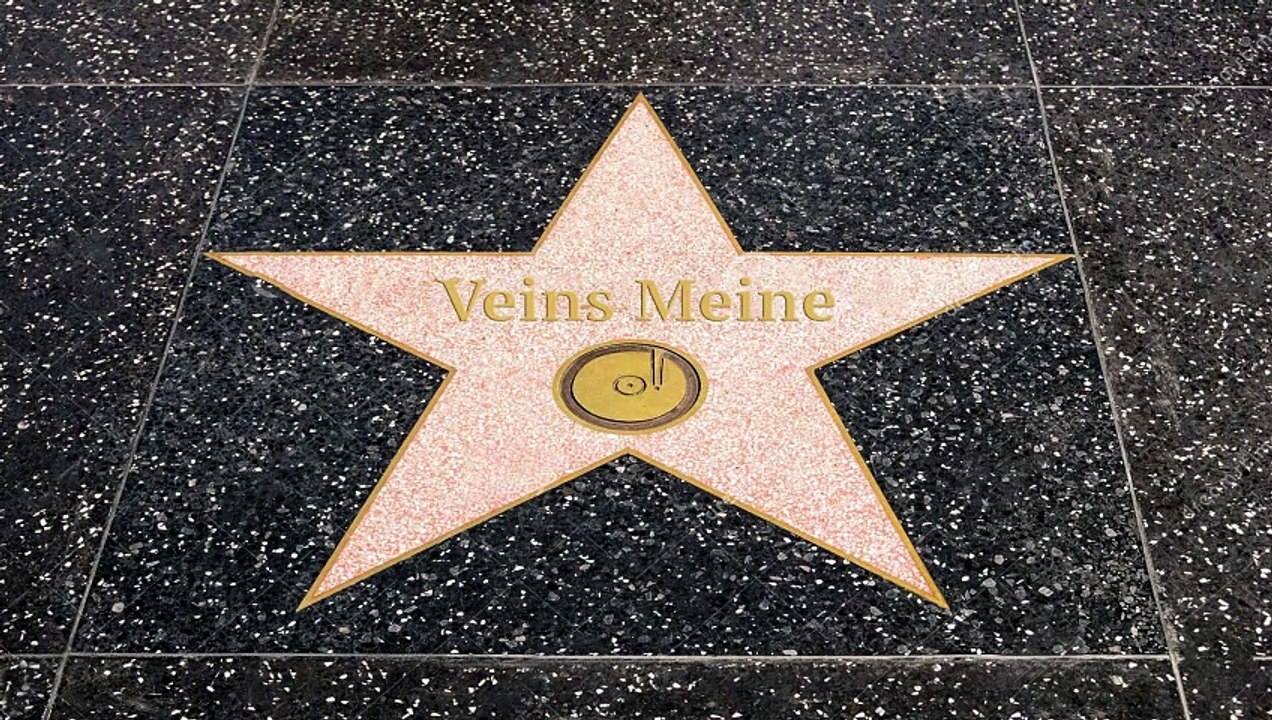 Veins Meine - Superstar