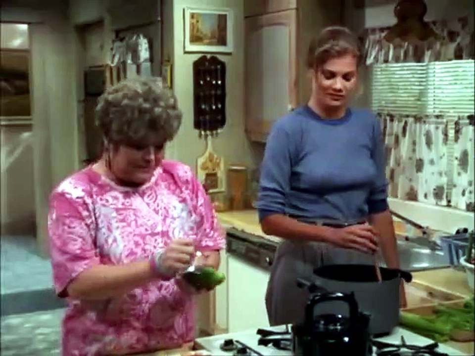 3rd Rock from The Sun S01E13