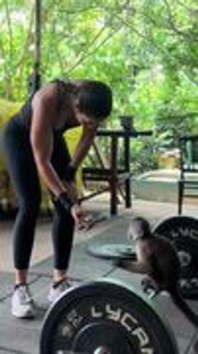 Curious Monkey Approaches Woman Skipping Rope