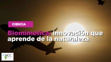 Biomimética: innovación que aprende de la naturaleza