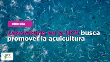 Laboratorio en la UCR busca promover la acuicultura