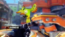 Jugada Destacada Bastion 247
