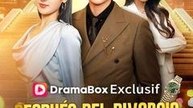 Después del divorcio, soy inalcanzable (Doblado) - Completo en Español