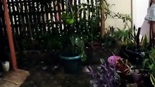 Udara segar..adem #2