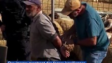 Des images montrent les forces israéliennes détenant plusieurs Palestiniens en Cisjordanie occupée