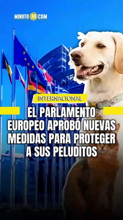 El Parlamento Europeo aprobó hoy normas históricas para proteger a perros y gatos.