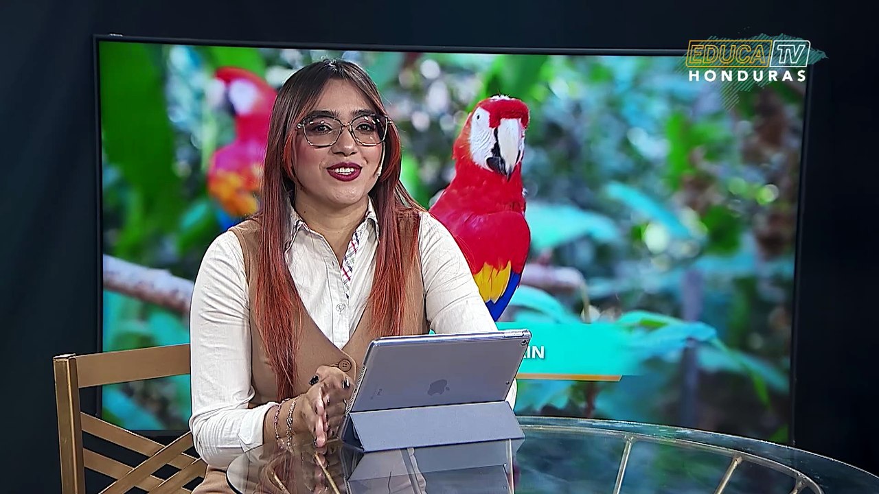 Educa TV Honduras | 1 de mayo
