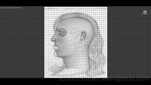 Ponikarovsky: 3DS MAX Practice Polygon Modeling Head Model Video #64 (04-30-2026)