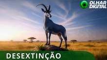 Antílope-azul que viveu há 260 anos pode voltar à vida