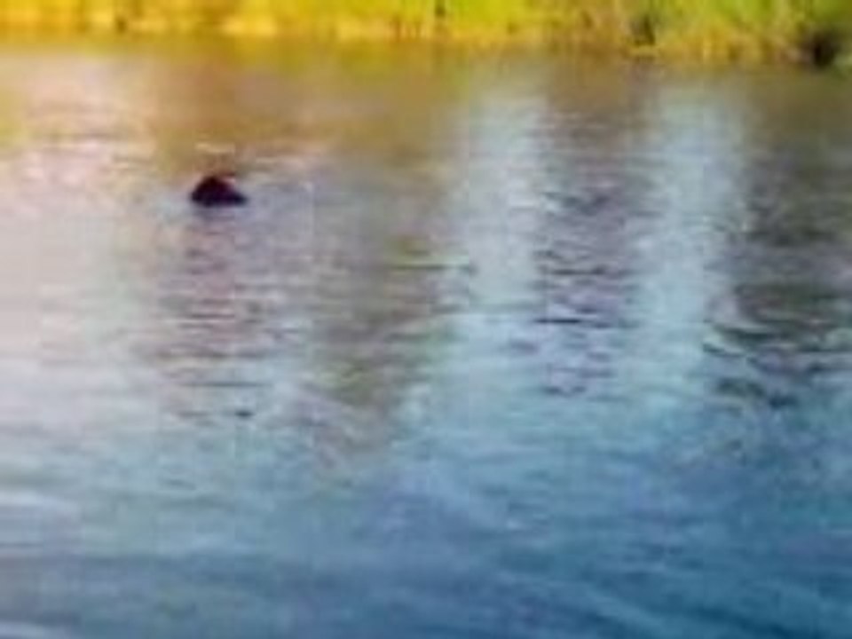 Clip(9)