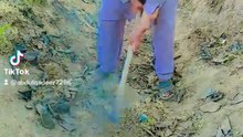 Punjabi mahol