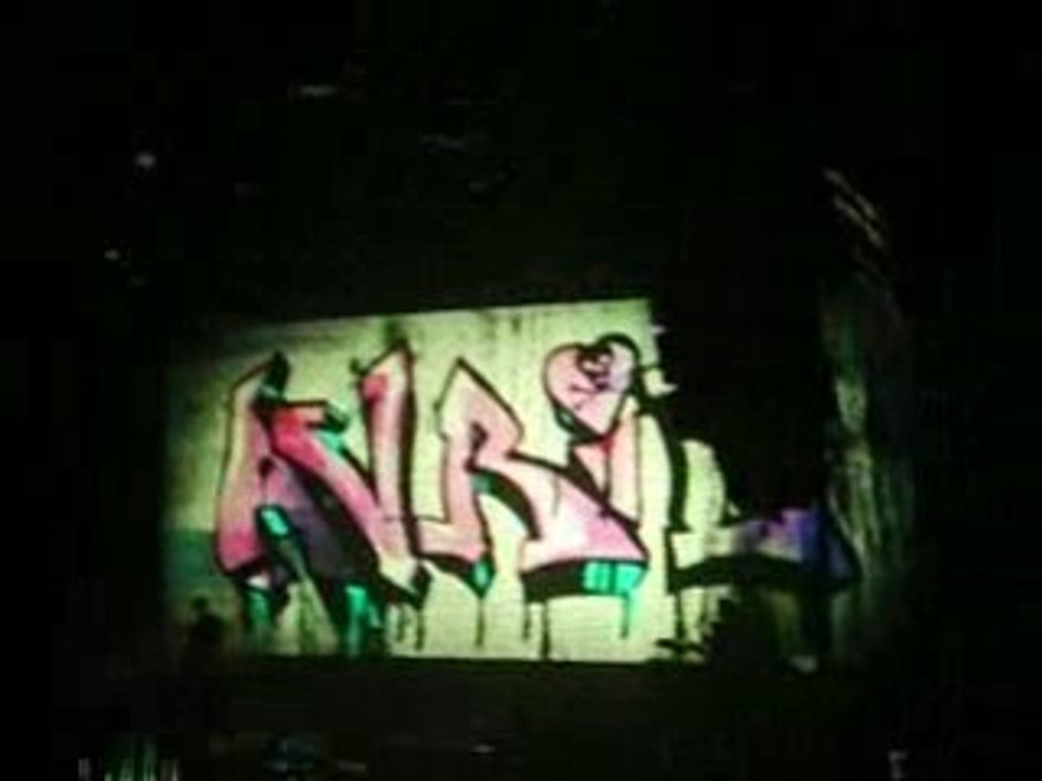 Avril Lavigne entre en scéne (Zenith 10/06/08)