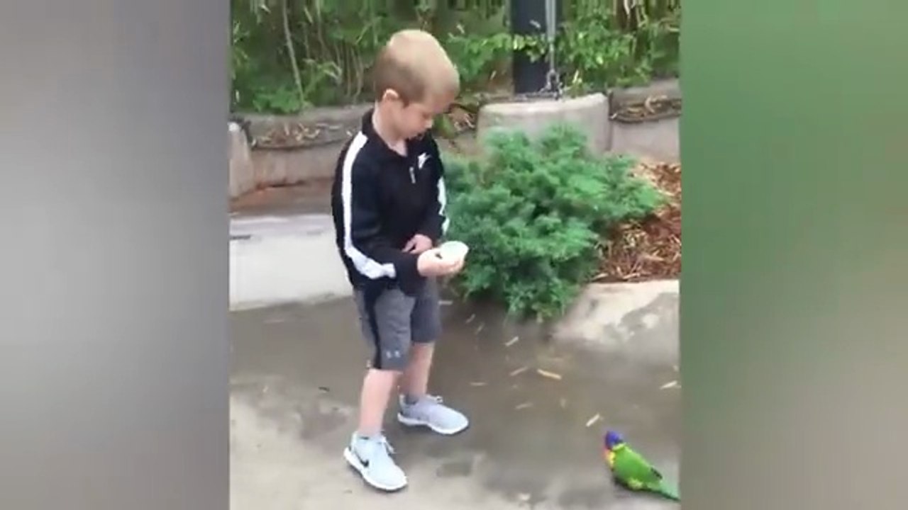 This content for evryone