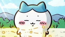 Chiikawa EP243 「ホッピー／お酒の資格」