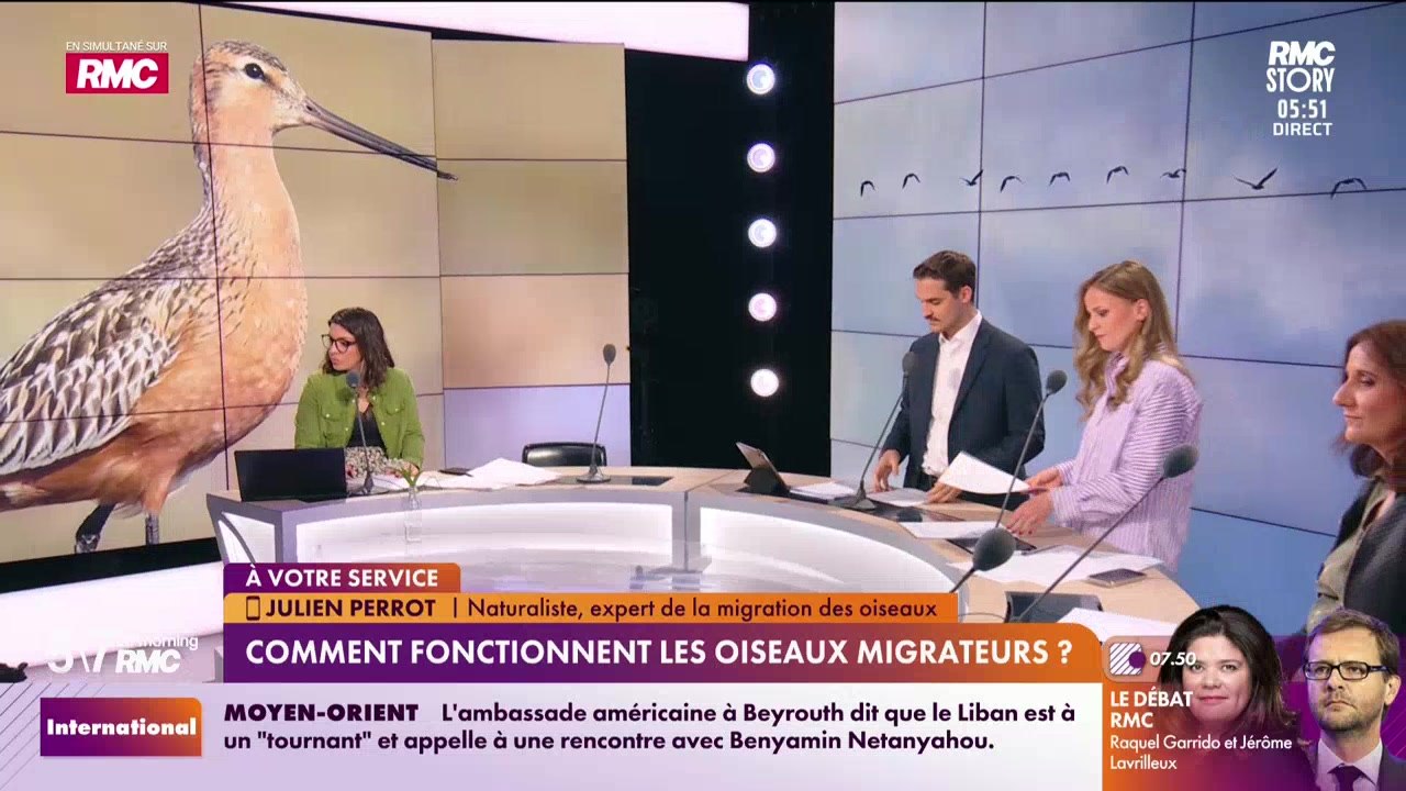 Julien Perrot à votre service : Oiseaux, la migration printanière - 01/05