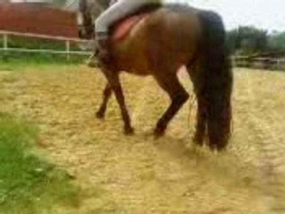 Ouragan & Moi