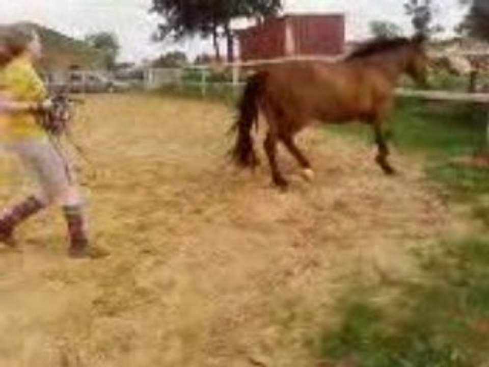 Ouragan & Moi