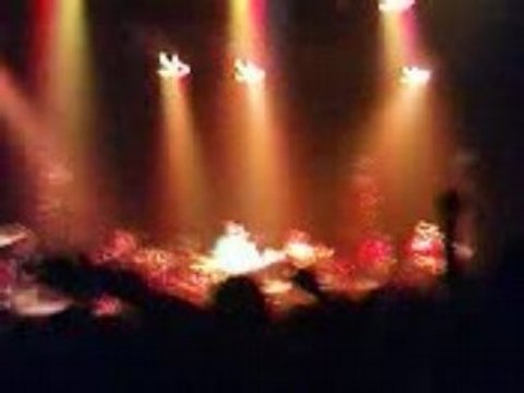 Manu chao brest Mr Bobby