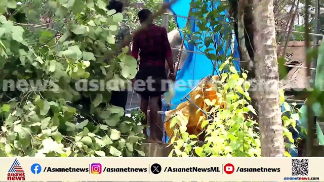 അങ്കമാലിയിൽ വിരണ്ടോടിയ ആനയെ തളയ്ക്കാൻ ശ്രമം തുടരുന്നു; ആർആർടി സംഘം സ്ഥലത്ത്