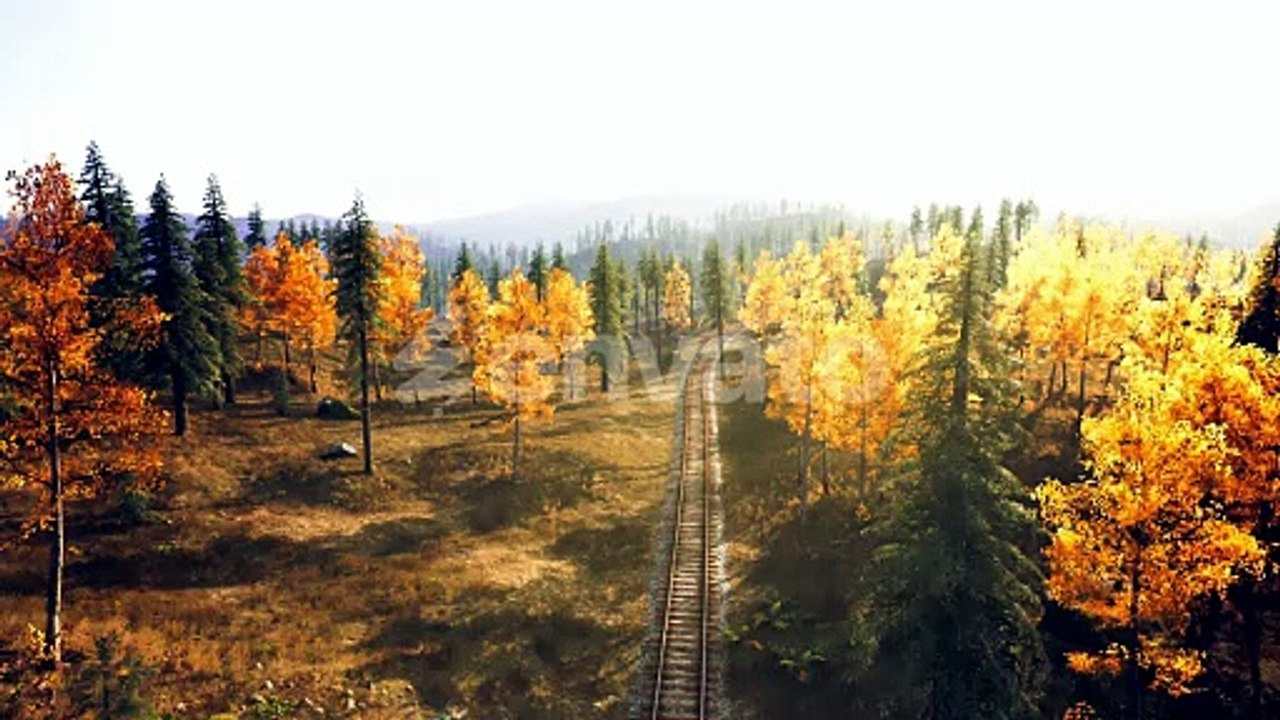 Autumn Forest Railway Journey with Golden Trees