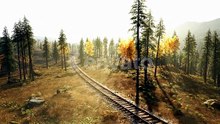 Train Tracks Winding Through a Sunlit Forest with Autumn Foliage in the Morning