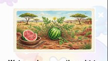 watermelon's stripes? That's actually a survival story #NEO #RAINBOWADVENTURE